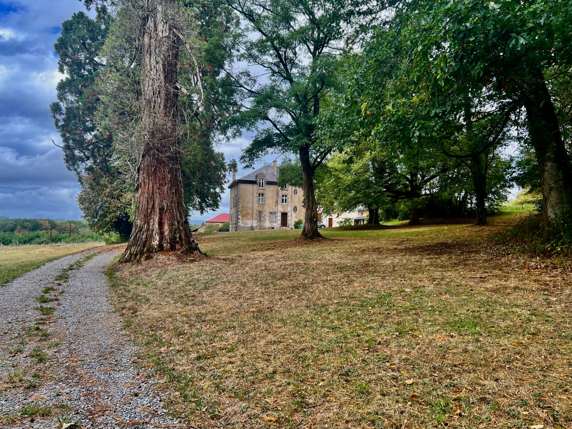 The château glimpsed between a towering redwood and old oak trees in the grounds